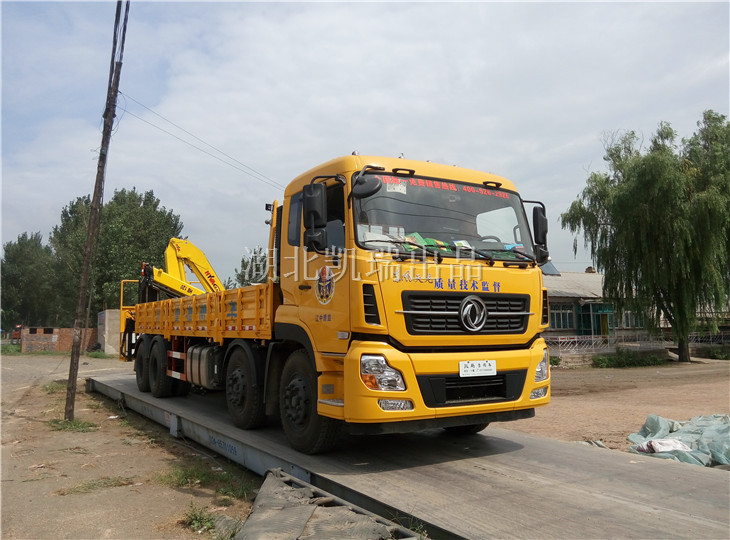 整車檢測收糧衡器承載準(zhǔn)確度 整車檢測收糧衡器承載準(zhǔn)確度